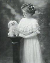Alice Lloyd, Vaudeville Entertainer